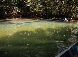 Clearwater Cave & Wind Cave