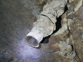 Deer Cave & Lang's Cave