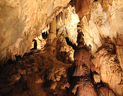 2D1N Mulu Show Caves