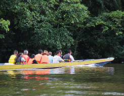 4D3N Mulu Show Caves + Headhunter Trails