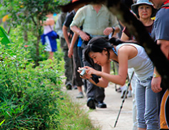 5D4N Mulu Show Caves + Pinnacles + Headhunter Trails