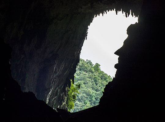 2D1N Mulu Show Caves