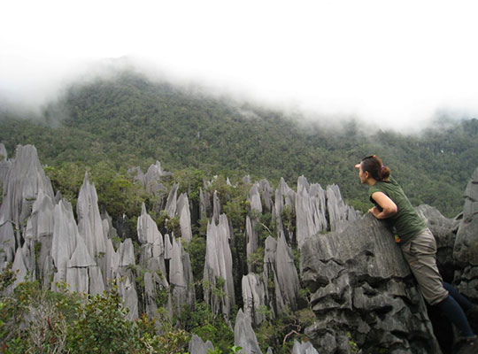 4D3N Mulu Show Caves + Pinnacles
